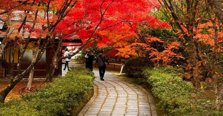 Kyoto: Fully customizable your own tour in the old capital - The real cost of an eight-hour private tour