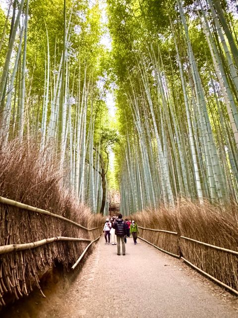 Kyoto: Fully customizable your own tour in the old capital - Meeting at Shijo Station or Kyoto Station