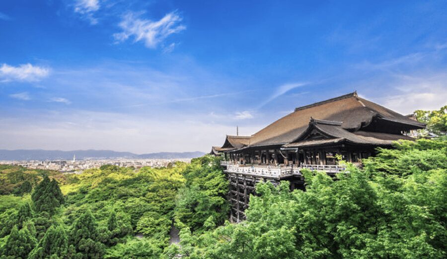 Kyoto: Fully-Customized One-day Private Tour - Gion and Nishiki Market: Kyoto’s famous first taste