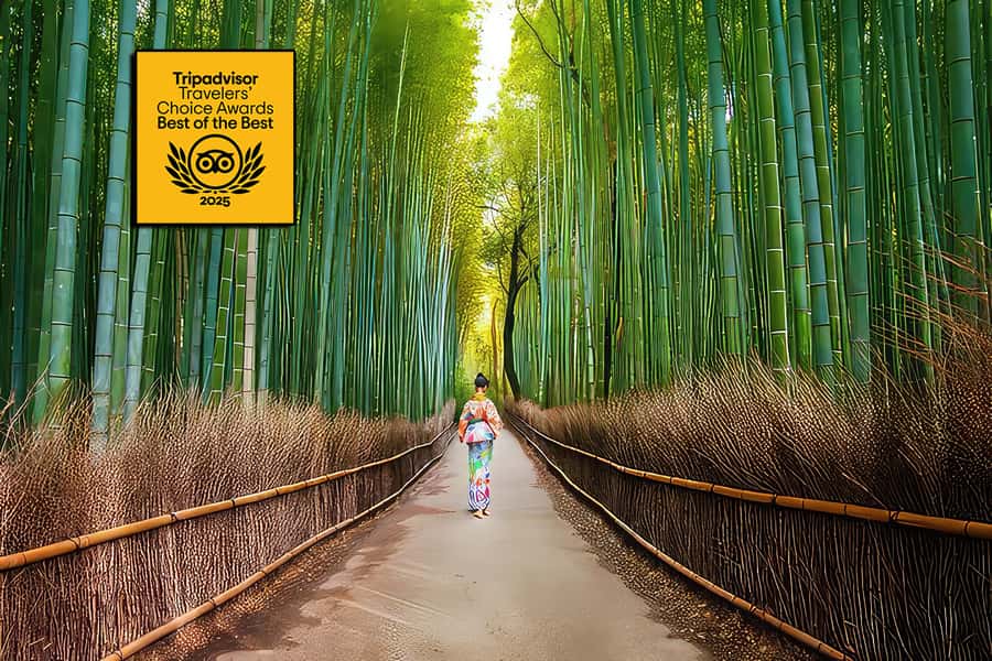 Kyoto: Fushimi, Arashiyama - Bamboo, Monkey, Torii & Secrets - Key points at a glance