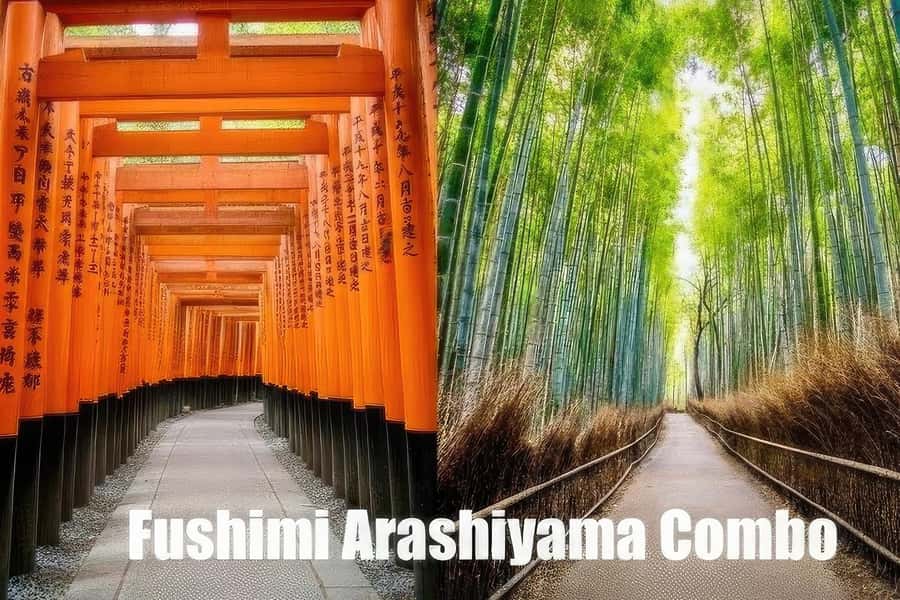 Kyoto: Fushimi, Arashiyama - Bamboo, Monkey, Torii & Secrets - Walking through Arashiyama’s bamboo