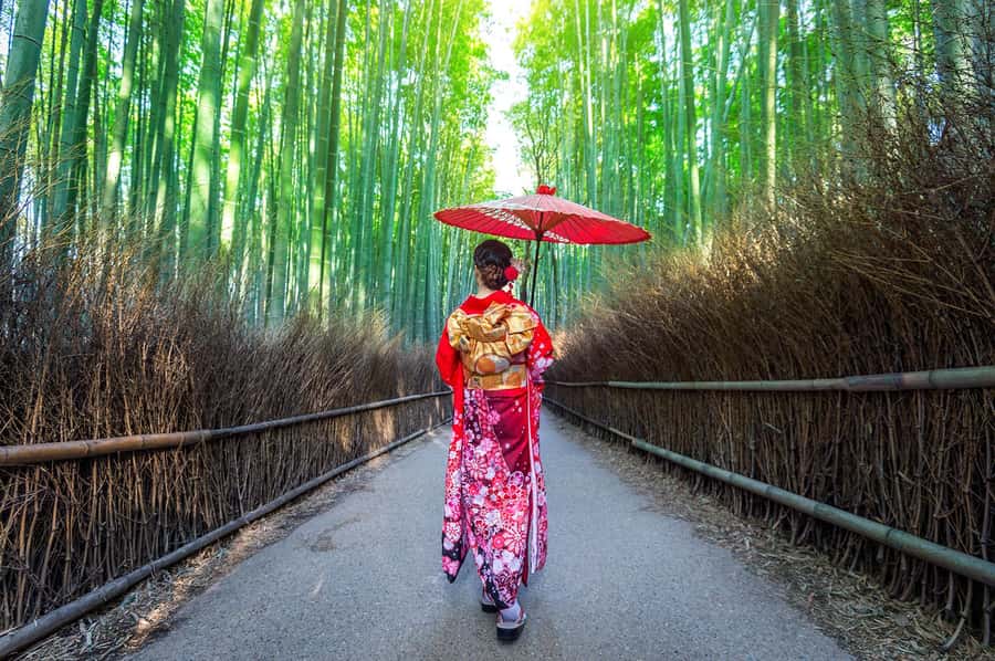 Kyoto: Fushimi, Arashiyama - Bamboo, Monkey, Torii & Secrets - Tenryuji Garden and its Zen calm