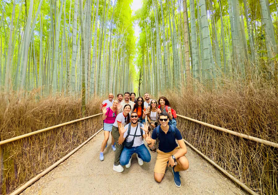 Kyoto: Fushimi, Arashiyama - Bamboo, Monkey, Torii & Secrets - The climb to Iwatayama Monkey Park