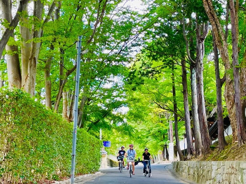 Kyoto: Fushimi Inari Shrine and Tofukuji Temple E-Bike Tour - Key points to know before you ride