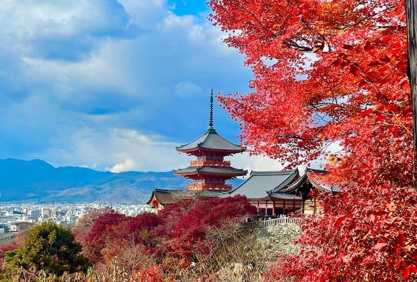 Kyoto: Fushimi Inari-taisha y Kiyomizu-dera (Spanish Guide) - Key points to know before booking
