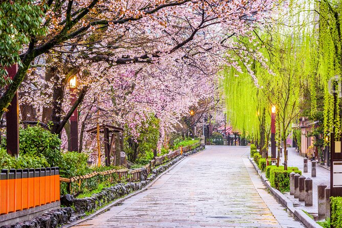 Kyoto Geisha District Walking Tour in Gion - What this Gion walk is really about