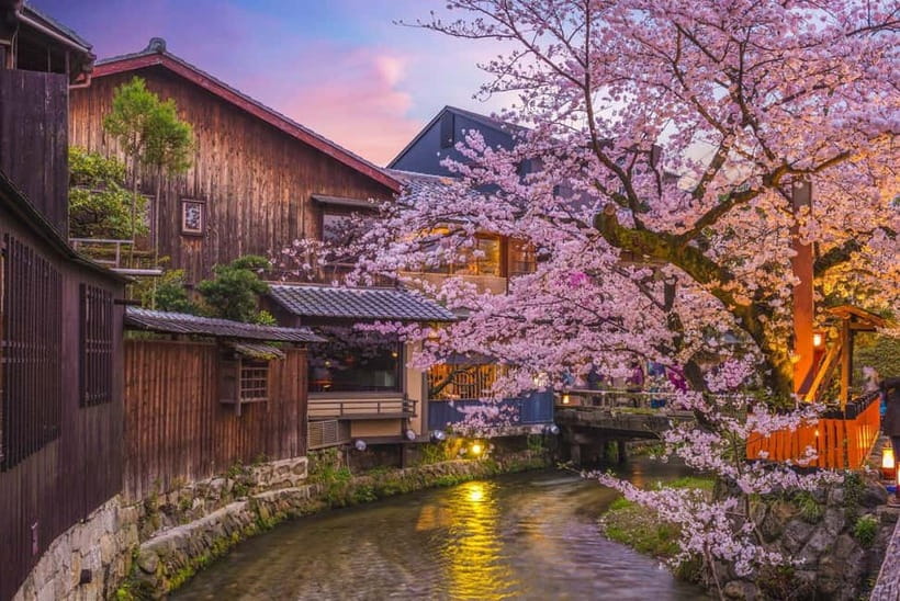 Kyoto Geisha Walking Tour: Gion District & Hidden Gems - Chion-in Temple and the quieter temple grounds
