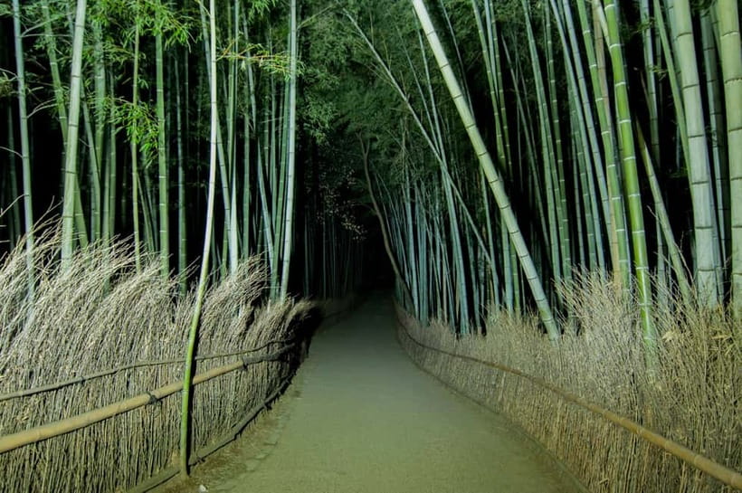 Kyoto: Ghost Tour - Legends, Dark Tales, Bamboo Forest Night - Who should book this Kyoto night walk?