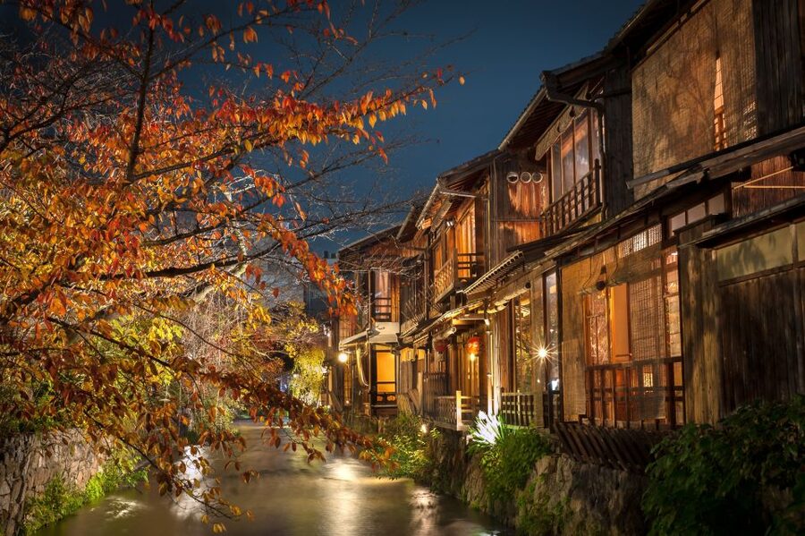 Kyoto: Gion Night or Morning Walking Tour with Local Snacks - Maruyama Park and Yasaka Shrine