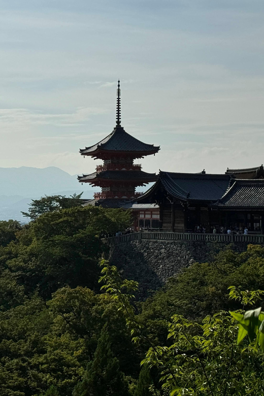 Kyoto: Guided Tour in UNESCO Site, Kiyomizu-dera - 90 Min. - What the private format adds