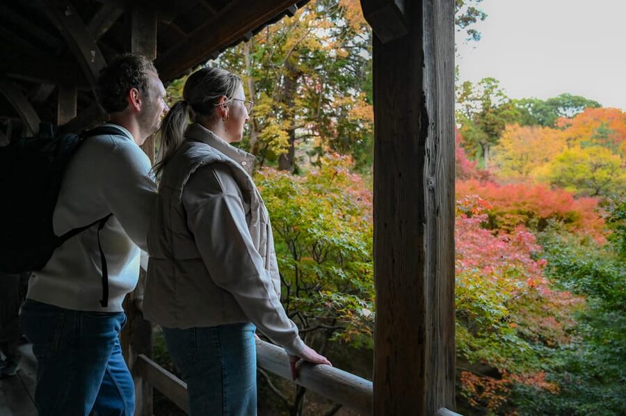 Kyoto: Half-day Guided Bike Tour with Fushimi Inari - Why a bike works so well in South Kyoto