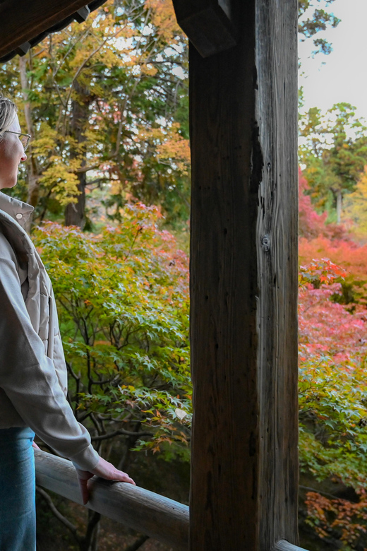 Kyoto: Half-day Guided Bike Tour with Fushimi Inari - What the $77 price includes