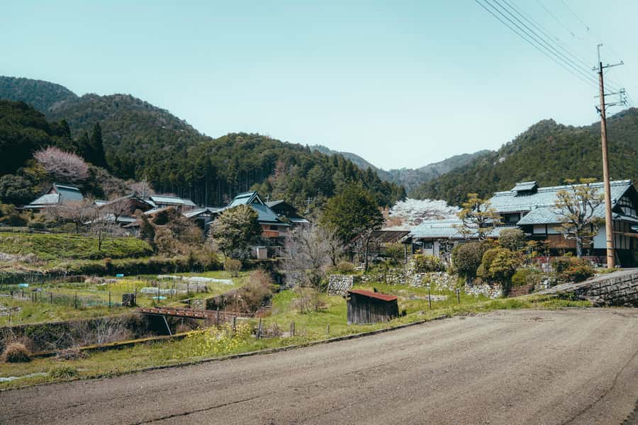 Kyoto: Hidden Gems and Local Neighborhoods - Why this Kyoto walk feels different