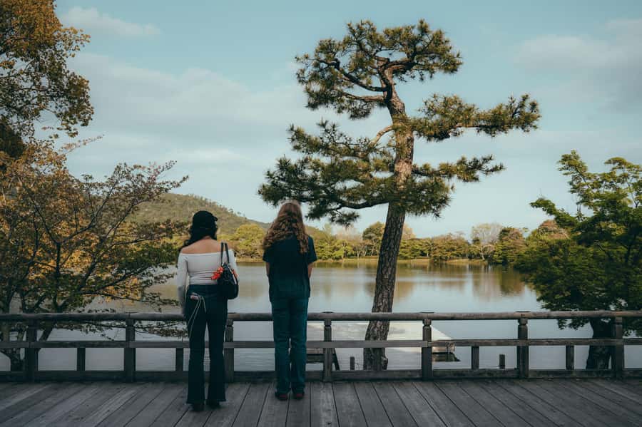 Kyoto: Hidden Gems and Local Neighborhoods - Temples, shrines, and gardens without the usual crush