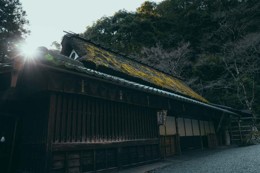Kyoto: Hidden Gems and Local Neighborhoods - Photography help and the optional private upgrade
