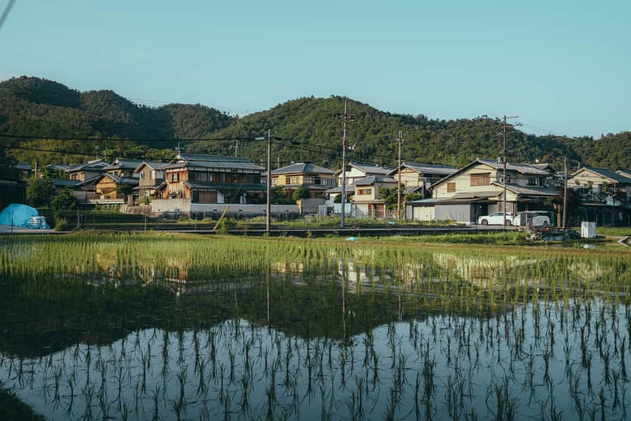 Kyoto: Hidden Gems and Local Neighborhoods - Is $44 a fair price?