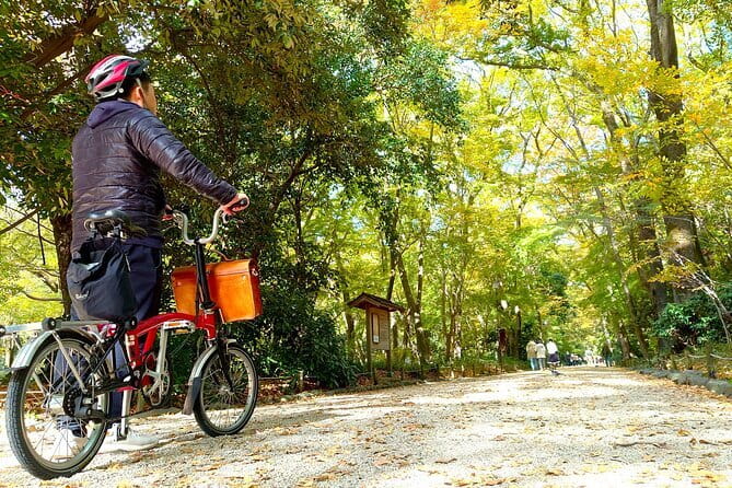 Kyoto: Higashiyama Slow Cycling Tour along the quiet waterfront - Nanzen-ji, from the Sanmon Gate to the gardens