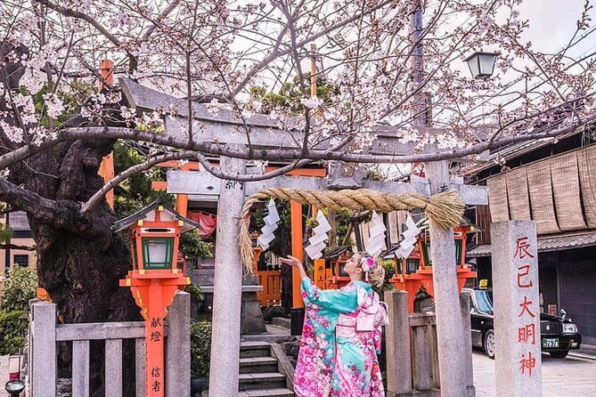 Kyoto Highlight Private Tour with English Speaking Driver - Why a private car helps in Kyoto