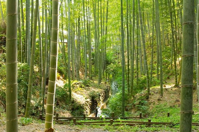 Kyoto Highlights: Arashiyama & Fushimi Inari by Private Car - A brief look at Gion
