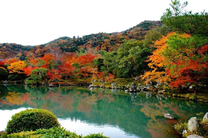 Kyoto: Highlights Guided Walking Tour - Timing, walking, and practical comfort