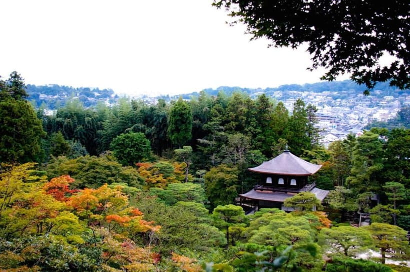 Kyoto: Highlights Guided Walking Tour - Kiyomizu-dera and the streets of Sannenzaka