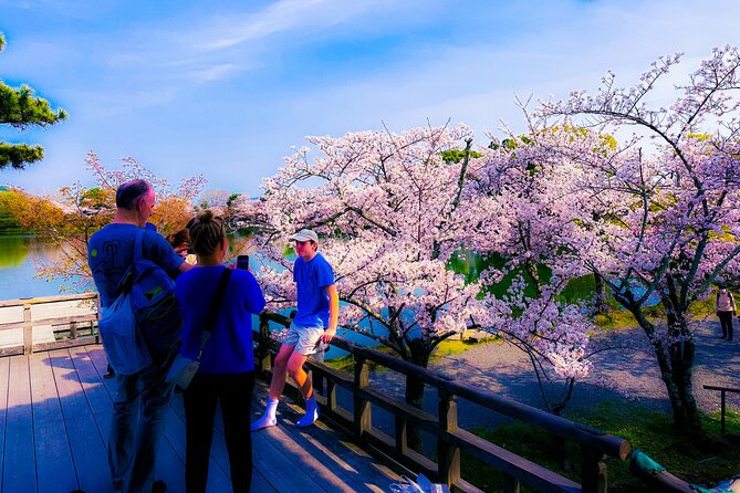Kyoto Highlights & Hidden Gems in Nature (Private Van Eng-Guide) - Sacred trees and northern Kyoto’s quiet side