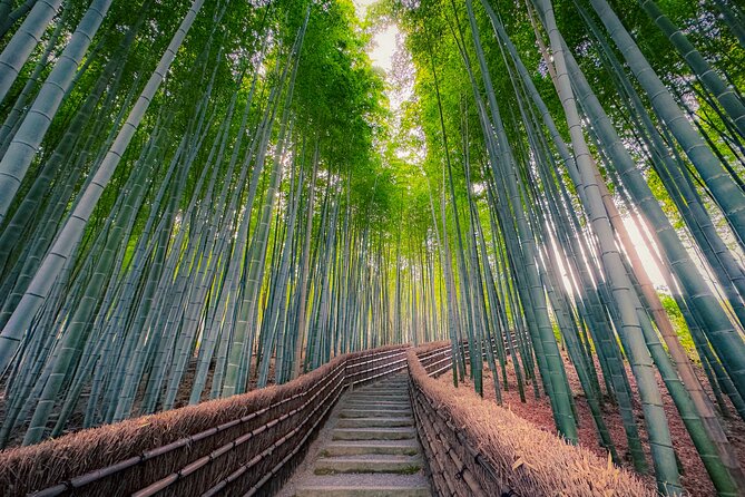 Kyoto Highlights & Hidden Gems in Nature (Private Van Eng-Guide) - What the price gets you
