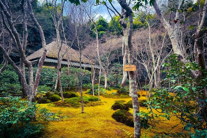 Kyoto Highlights & Hidden Gems in Nature (Private Van Eng-Guide) - Who will get the most from this tour