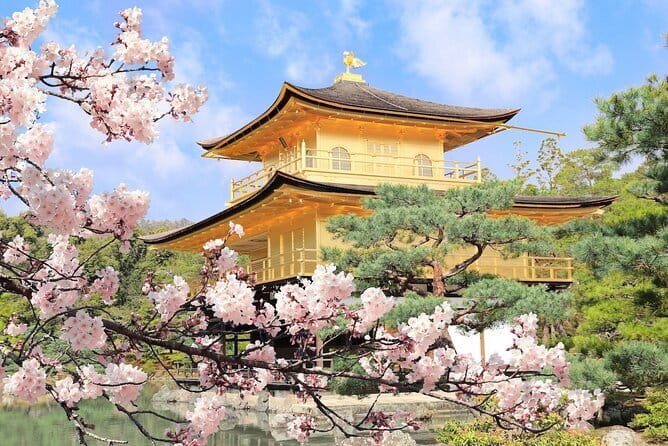 Kyoto Highlights Private Tour with Pick and Drop - Sanjusangendo brings you face to face with 1,001 statues