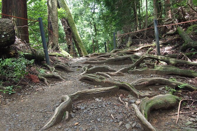 Kyoto Hiking Tour: The Nature and Legends of Kurama and Kibune - Crossing from Kurama to Kibune
