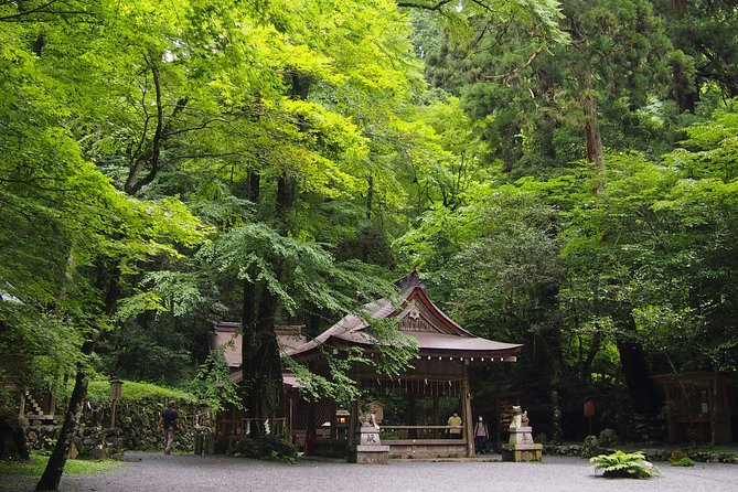 Kyoto Hiking Tour: The Nature and Legends of Kurama and Kibune - Climbing Mount Kurama through the forest