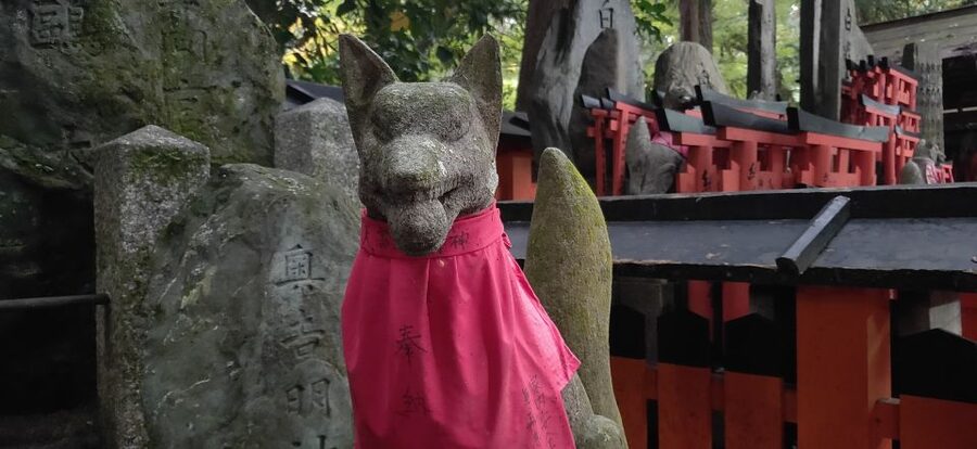 Kyoto: Historic Higashiyama Walking Tour - What the guides add