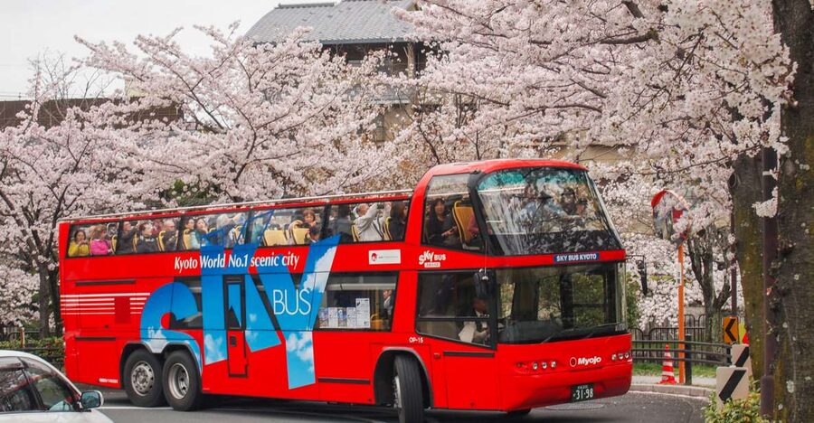 Kyoto: Hop-on Hop-off Sightseeing Bus Ticket - Key points for planning your Kyoto ride