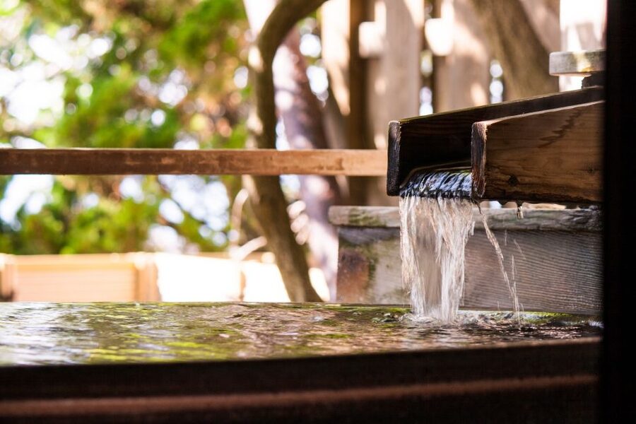 Kyoto: Immersive Arashiyama & Fushimi Inari by Private Car - Timing, pickup, and traffic need careful thought
