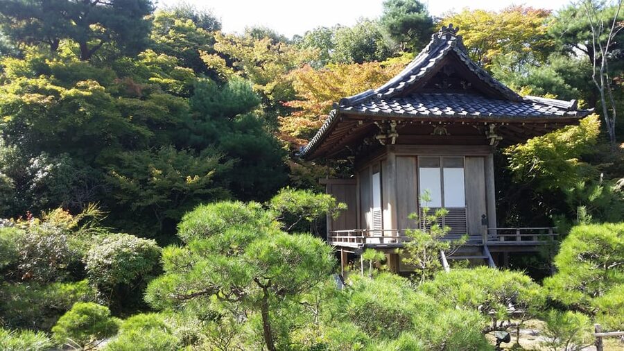 Kyoto: Immersive Arashiyama & Fushimi Inari by Private Car - Why a private car makes this Kyoto day easier