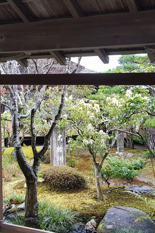 Kyoto: Immersive Arashiyama & Fushimi Inari by Private Car - Guides make a major difference on a private tour