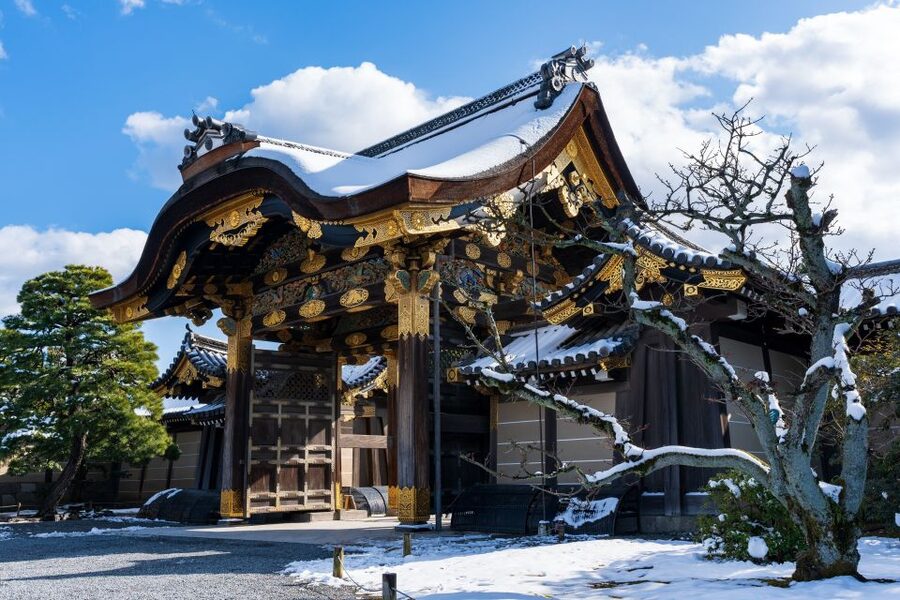 Kyoto: Imperial Palace & Nijo Castle Guided Walking Tour - Languages, Timing, and Booking Flexibility