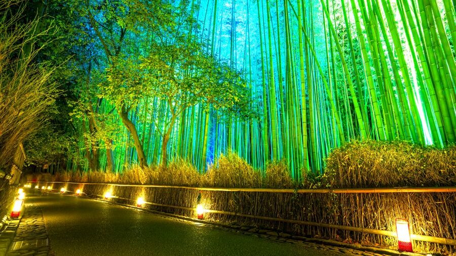Kyoto: Japanese Gardens Private Customizable Tour - Why a private Kyoto garden day makes sense