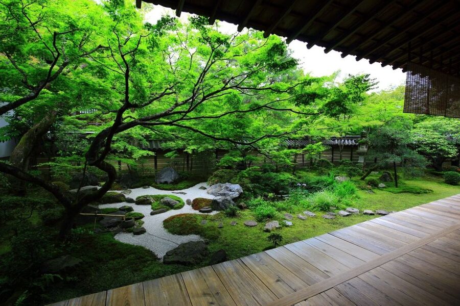 Kyoto: Japanese Gardens Private Customizable Tour - Should you book the Kyoto garden tour?