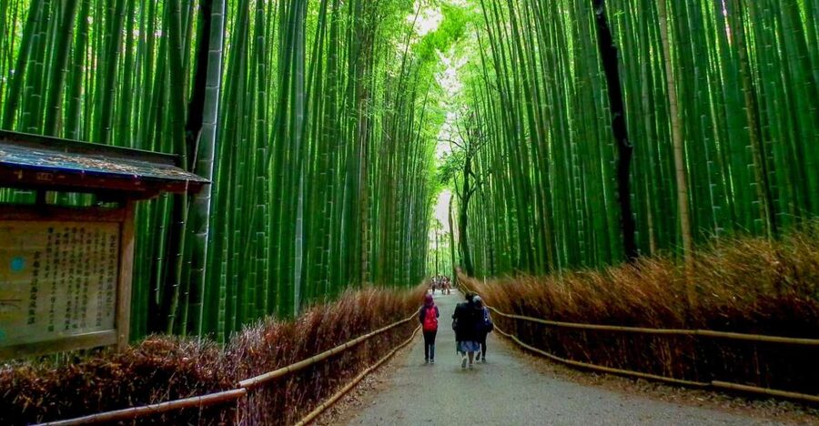 Kyoto: Japanese Gardens Private Customizable Tour - Imperial villas and Kyoto’s formal side