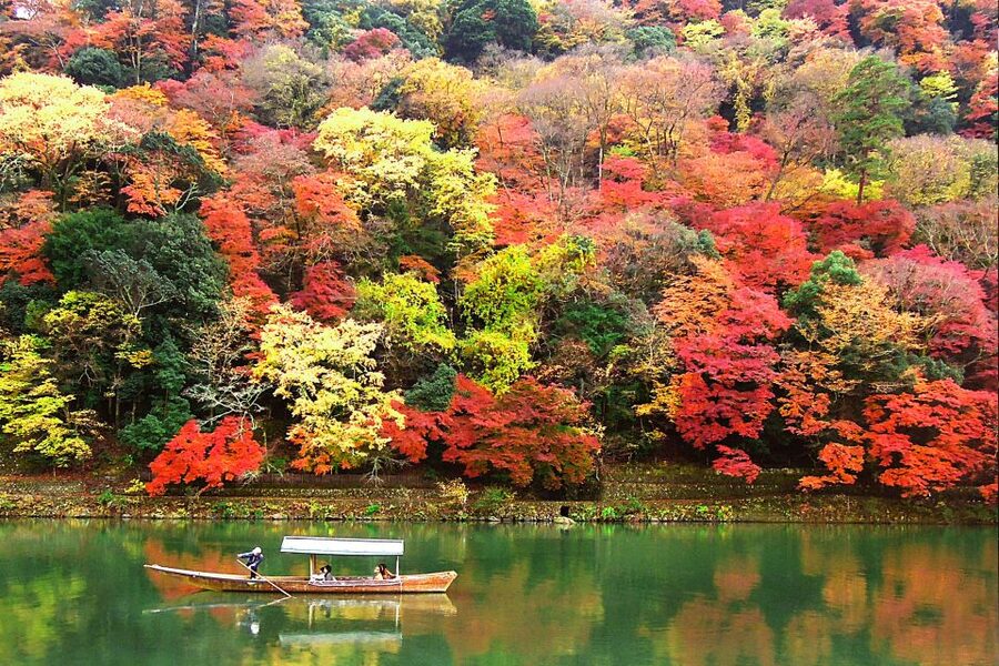 Kyoto: Japanese Gardens Private Customizable Tour - How the six hours are likely to feel