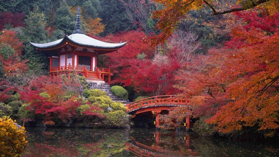 Kyoto: Japanese Gardens Private Customizable Tour - The value of a private guide at $151