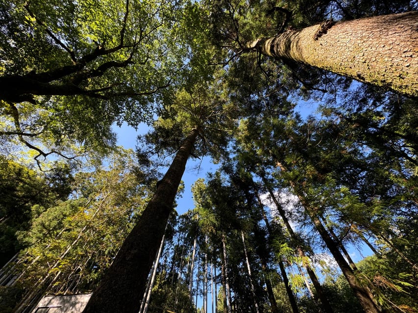 Kyoto: Kifune Shrine and the Sacred Kifune Valley Day Trip - Timing, meeting points, and the return to Kyoto