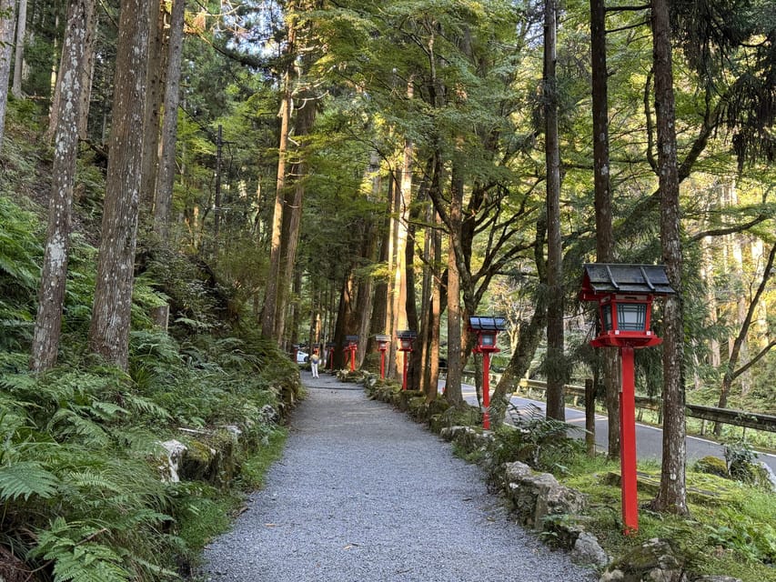 Kyoto: Kifune Shrine and the Sacred Kifune Valley Day Trip - Who will enjoy this outing most
