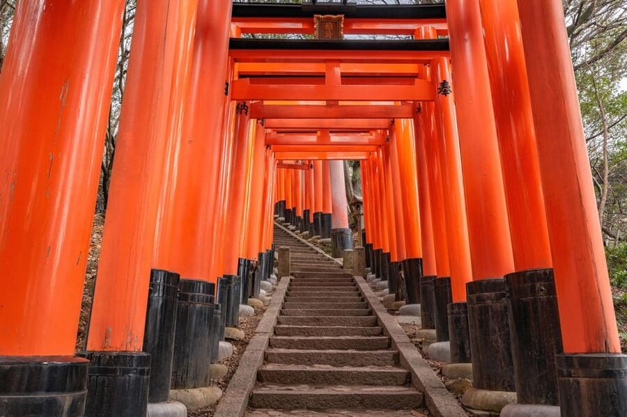 Kyoto: Kiyomizu-dera, Fushimi Inari & Gion Geisha District - Timing, walking, and what to bring