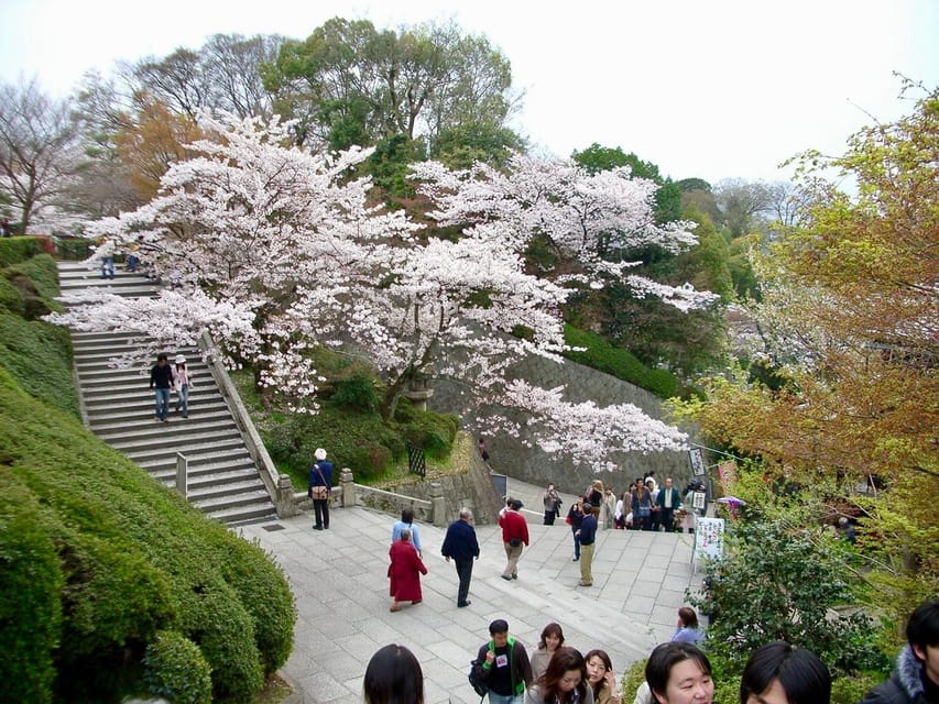 Kyoto: Kiyomizudera, Higashiyama and Yasaka Discovery Tour - Key points to know before booking