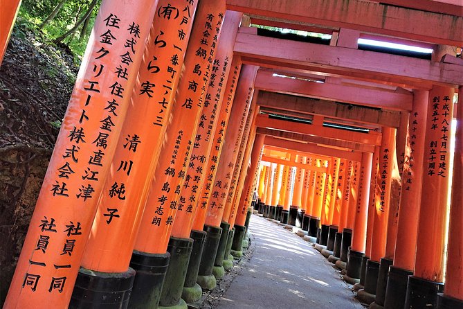 Kyoto Late Bird Walking Tour - Fushimi Inari and the long tunnel of torii