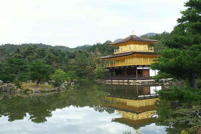 Kyoto Lazy Bird Walking Tour - Who should book this Kyoto afternoon tour