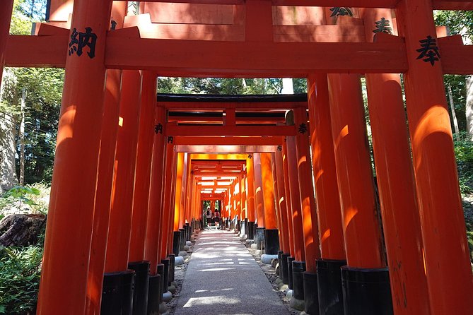 Kyoto Lazy Bird Walking Tour - Arashiyama Bamboo Grove in one focused hour