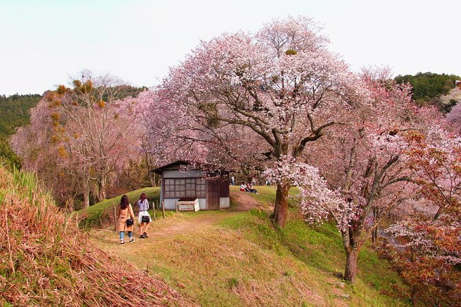 Kyoto Magical Night English Tour: Gion & Fushimi Inari Shrine - Nene-no-Michi and the quieter side of Higashiyama